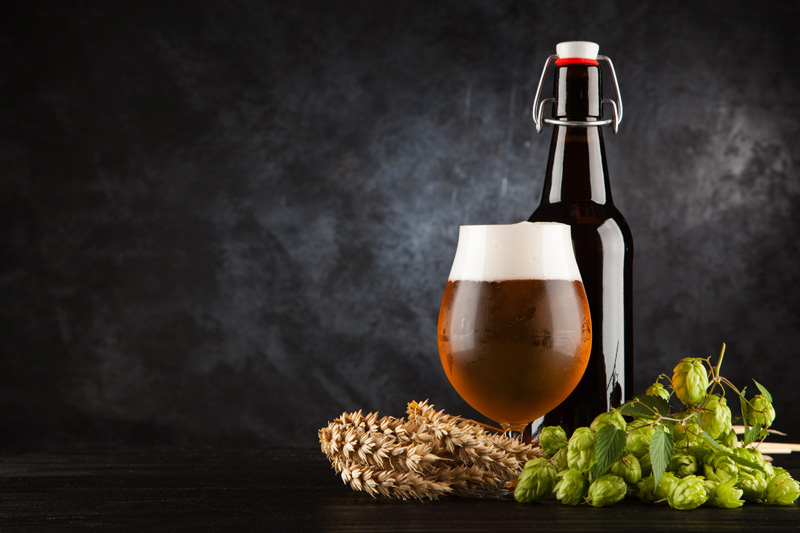 Castilla Jardín Cervecero