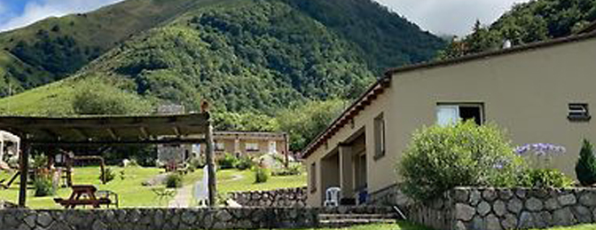 Los Carolinos by Dot Tradition