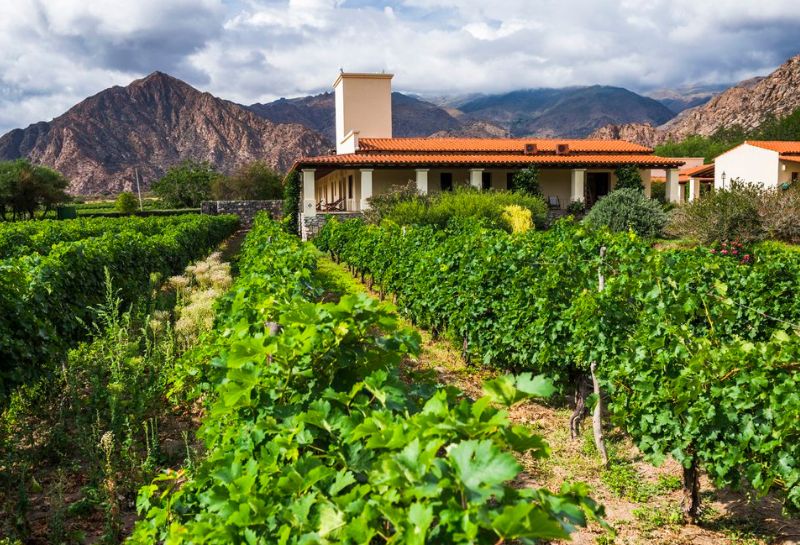 VIÑAS DE CAFAYATE WINE RESORT