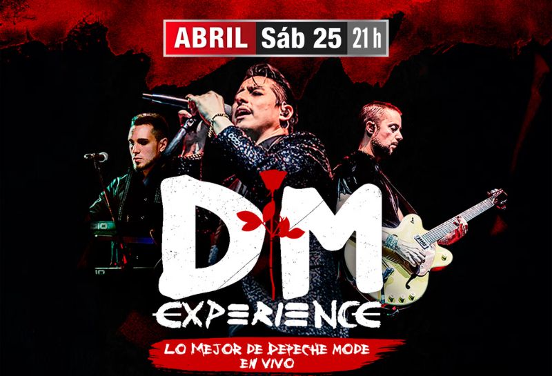 DM EXPERIENCE